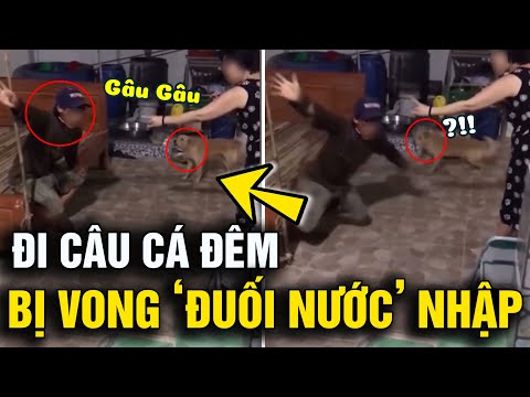 Video Xôn xao clip người đàn ông đi 'CÂU CÁ' ban đêm bị... - youtube