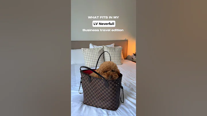 ORGANISING MY LV NEVERFULL - THE BEST bag for business travel #lvneverfull #bagorganizer
