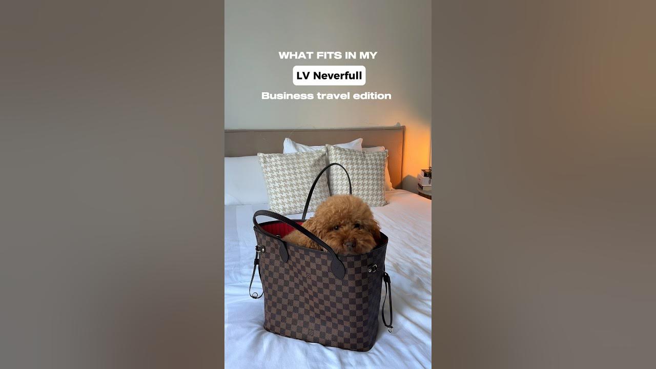 What fits inside my Louis Vuitton NEVERFULL - THE BEST bag for