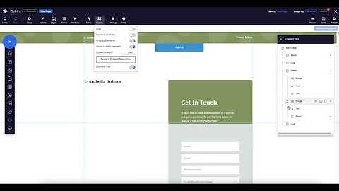 Convertri Help - Using the Element Tree to Swap Elements