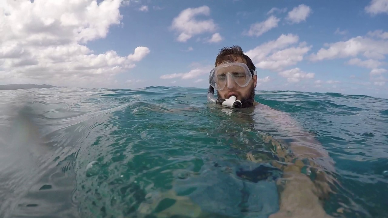 Swimming at Doctors Cave Beach January 2017 YouTube