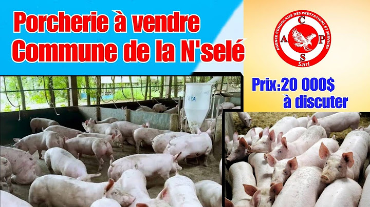 👉PRIX:20 000$ À DISCUTER;PARCELLE MISE EN VENTE AVEC UNE PORCHERIE À KINSHASA COMMUNE DE LA N'SELÉ