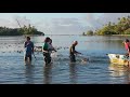 Rabbit fish season in Pohnpei Micronesia