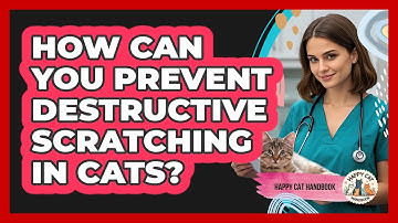 How Can You Prevent Destructive Scratching In Cats? - Happy Cat Handbook