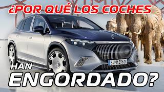 ¿Por qué los coches han ENGORDADO tanto?