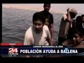 Ballena fue auxiliada en playa de Paracas