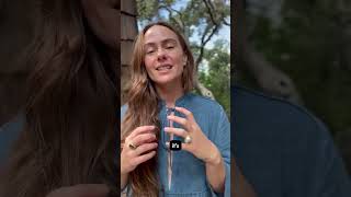 Ghosting Means Your Manifestation Is Close— Here's Why!