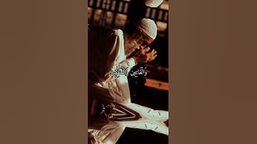 الصابرين والصادقين والقانتين والمنفقين والمستغفرين بالأسحار - من سورة آل عمران - محمد صديق المنشاوي