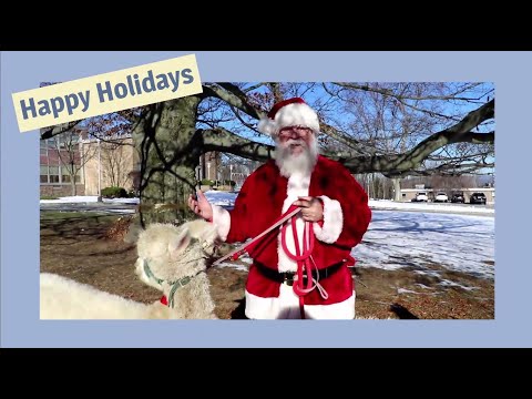 Santa and his team of alpacas visit Sapphire Elementary School - December 21, 2022