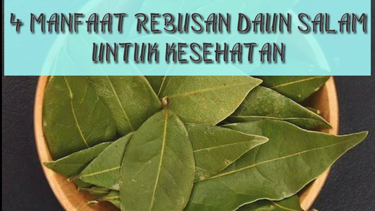 4 MANFAAT REBUSAN DAUN SALAM UNTUK KESEHATAN 