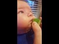 BABY EATS LIMES!!