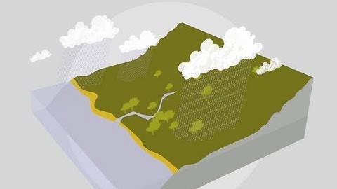 How does the water cycle work?