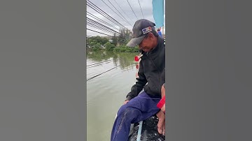Độc lạ câu cá chỉ bằng cái chai dính cực nhiều #fishing #shorts
