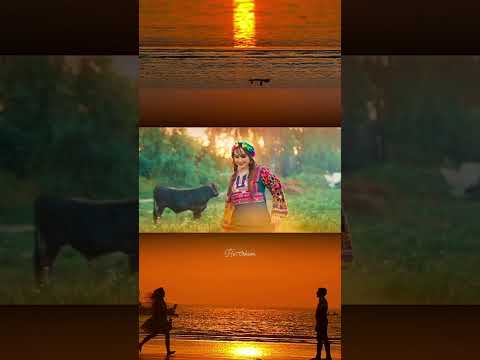 جديد شهد الشمري ورعد الناصري سهمي واخذته 4