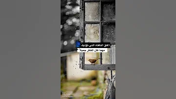 يوسف عزيزم كم حالات واتساب عن رب العالمين تصاميم تصميمي لايك اكسبلور متابعه مسيقى 