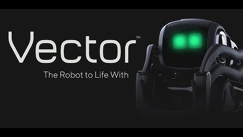 Vector by Anki | A Giant Roll Forward For Robotkind.