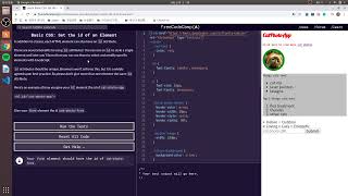 freeCodeCamp curriculum challenge - Basic CSS 1