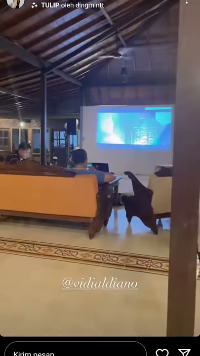 pas Prilly bilang tak bisa bersama gitu banget wajahnya kaya yang takut?? harus bersama ya mas? 💖