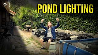 Lights For Koi Pond! LEPOWER by Tobias Holenstein 652 views 10 months ago 6 minutes, 26 seconds