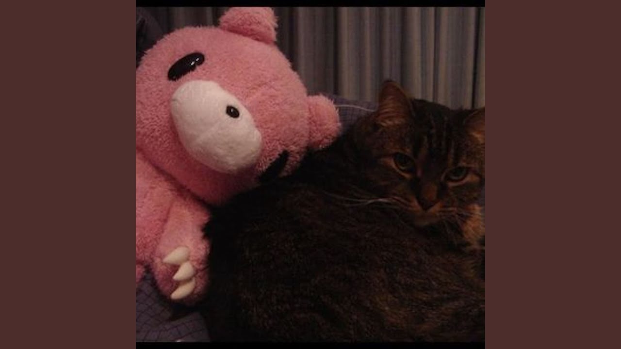 Watch scars 4 u on YouTube Watch scars 4 u on YouTube