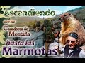 Ascendiendo hasta las Marmotas