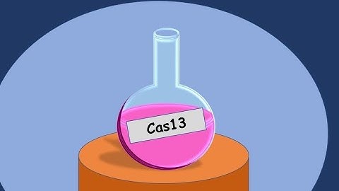 A COVID-19 Contender: Cas13