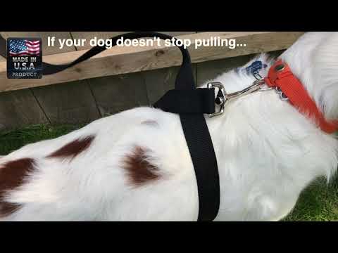 Control Leash Instructions