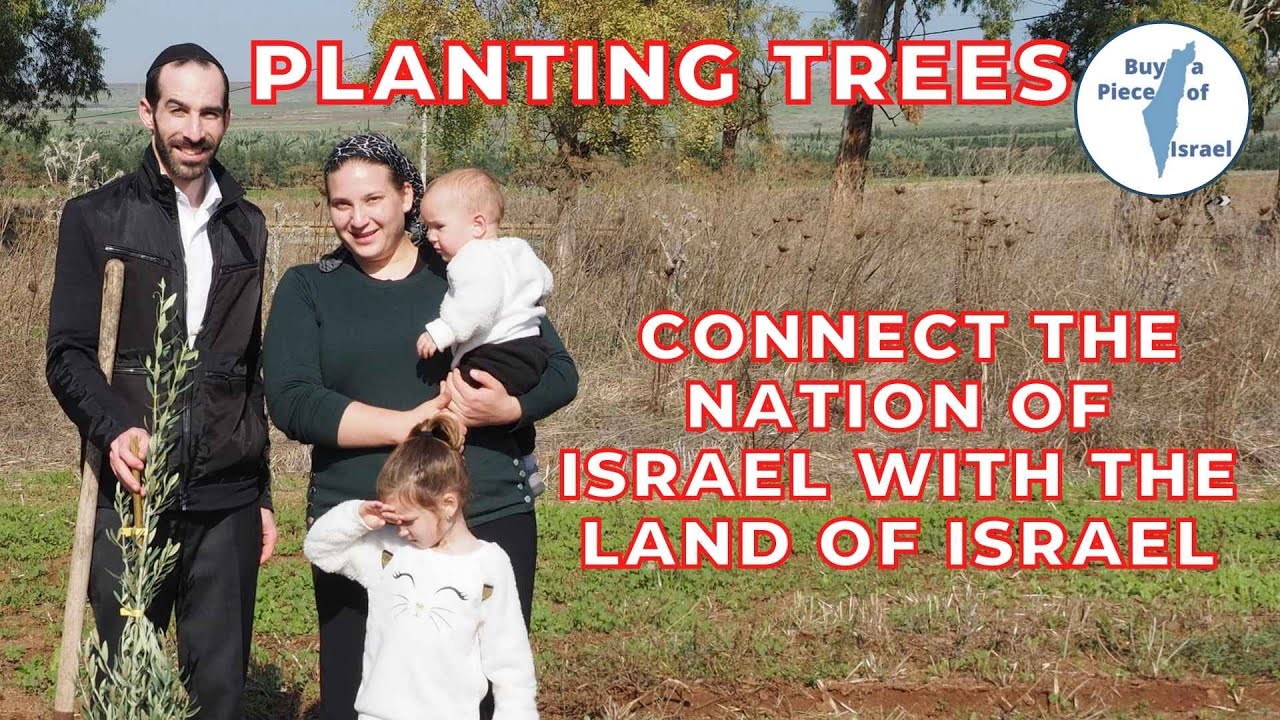 Planting trees in Israel connect the Nation of Israel with the Land