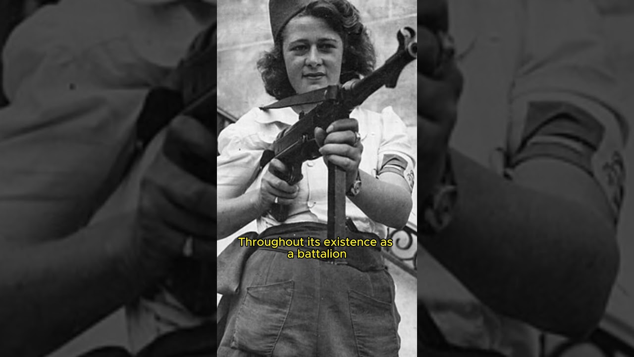 24th Waffen Mountain Division of the SS Karstjäger - WW2 - 