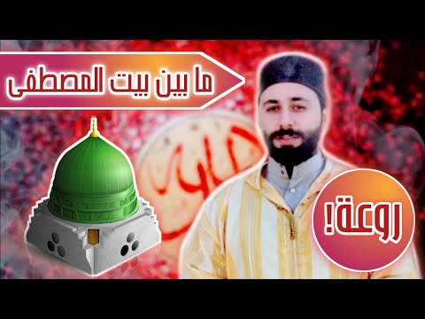 ما بين بيت المصطفى والمنبر مع الكلمات المداح عمار العبيدي قصيدة روعة