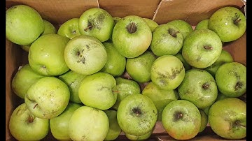 Fruit Diseas Control by GREEFA & FELDERER