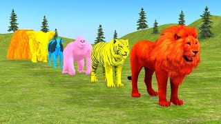 Long Slide Game With Elephant Gorilla Buffalo Hippopotamus Tiger  3d Animal Game  Funny 3d Animals