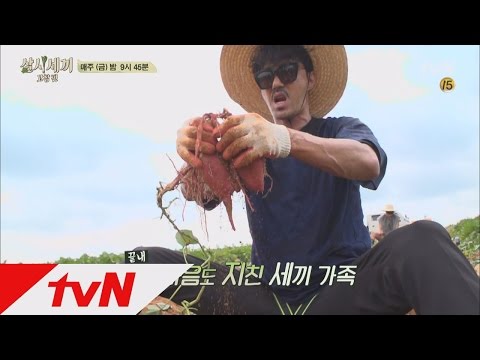 3bob 삼시세끼 극한직업이 온다! 160805 EP.6