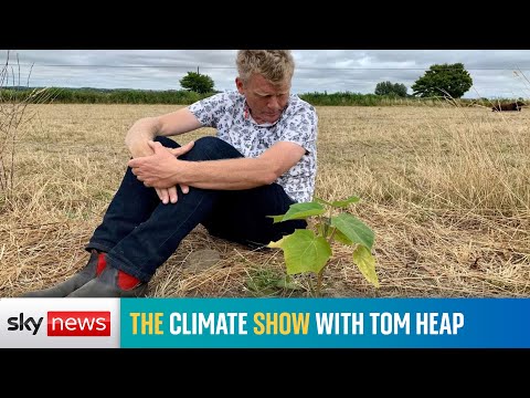 The Climate Show with Tom Heap