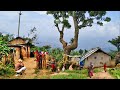 Beautiful Simple Nepali Mountain Village Life | Rural Atmosphere of East Nepali Village | Rural Life
