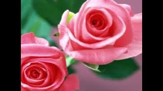 Bas Ek Tumko Sanam [Full Song] (HD) - Bank Robbery