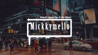 Andrelli - Always You (Lyrics) feat. Elle Winter