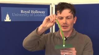 Teaching and research in molecular bioscience 2