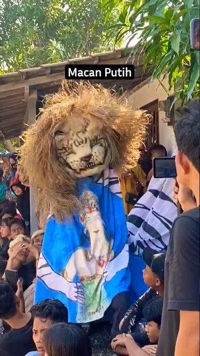 Barongan Macan #shorts #barongan #canmacanan #viraltiktok #jaranan #storywa #hutri78 #barongankendal
