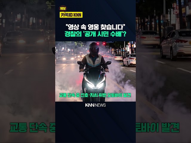 도주한 오토바이 운전자 잡은 영웅? / KNN