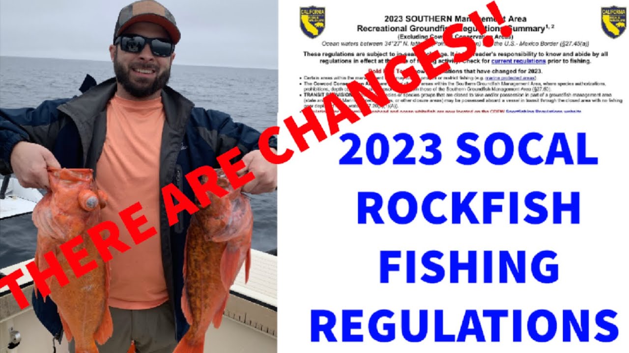 2023 SoCal Rockfish Regulations Big changes this year!! YouTube