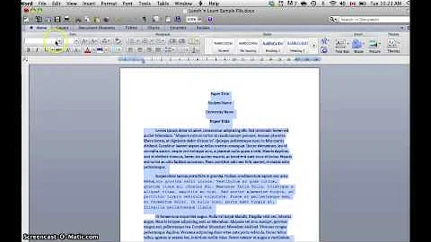 Changing Font in Entire Document in Word 2010 (Mac)