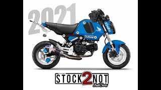 2021 Honda Grom Just Announced! LETS DISCUSS LIVE
