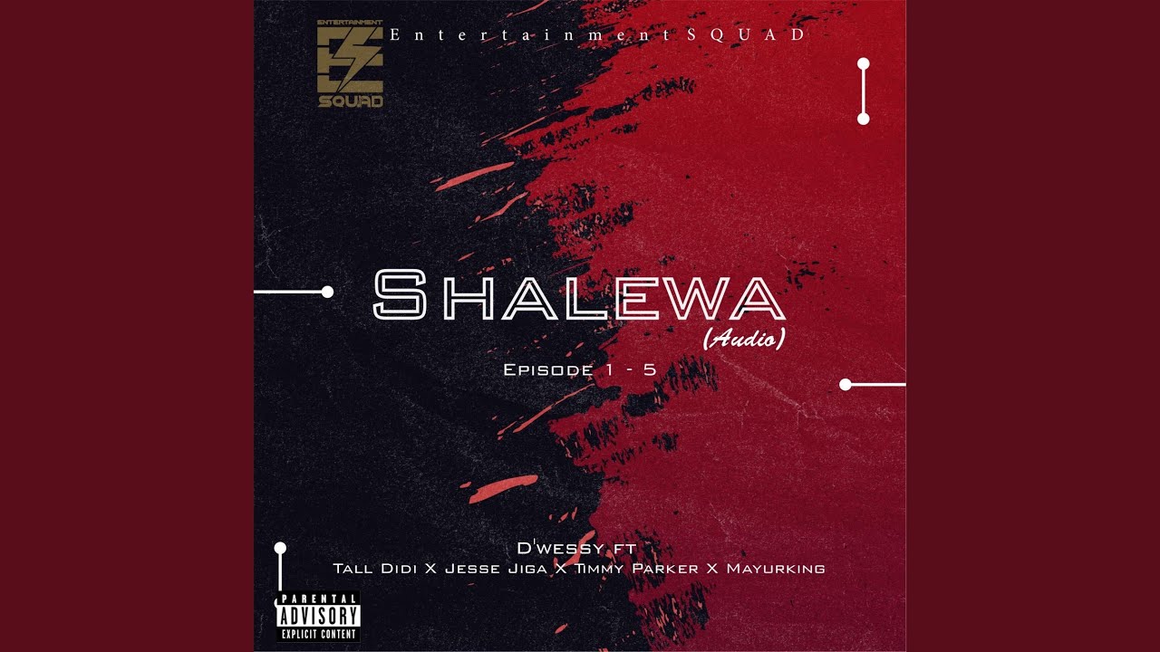 Shalewa DLIC Jingle