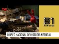 Nota Verde Museo Nacional De Historia Natural 31 Minutos Nota Verde Museo Nacional De Historia Natural 31 Minutos