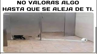MEMES VARIADOS #471
