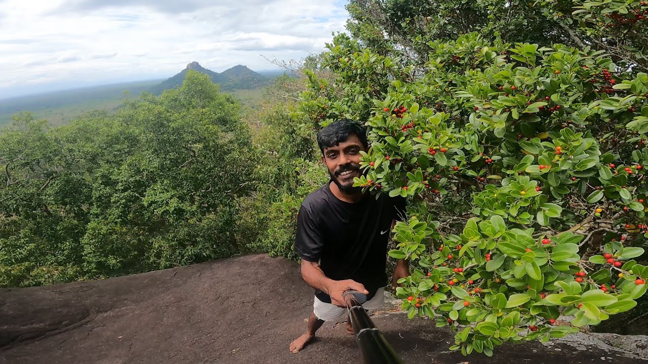 උමගේ කෙළවරට 🍃🪵.. @IslandFishing2 කැලේ මැද හැදෙන විරගෙඩි 🥰