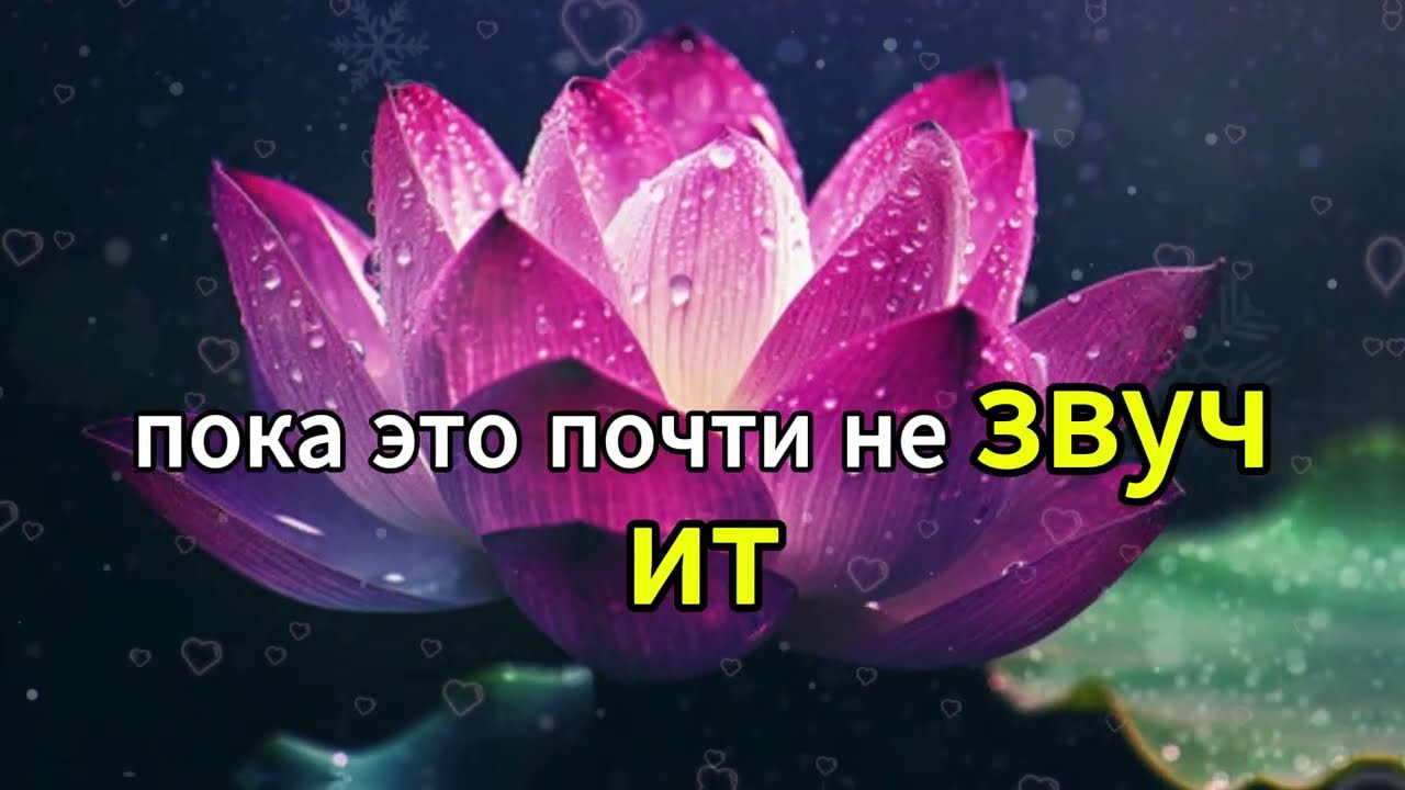 которые сразу привлекают женщин высокого уровня