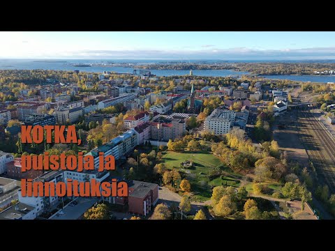 Video: Mistä Kaksinkertainen Kotka Tuli Venäjän Vaakuna