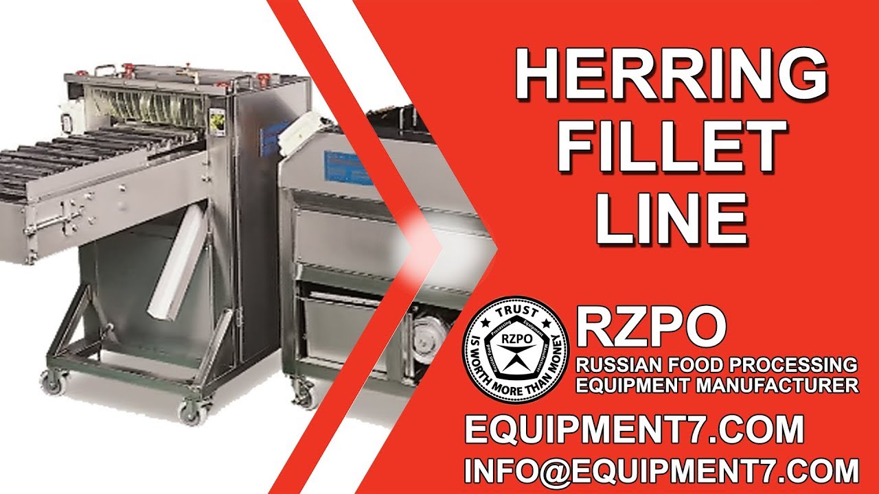 Automatic herring fillet line. Filleting machine, equipment